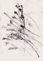 http://www.soerenhiob.com/files/gimgs/th-99_4  4.jpg